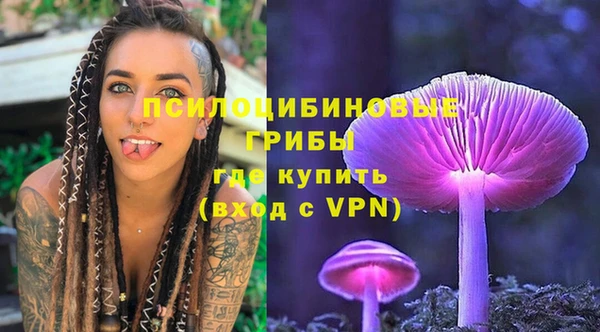 PSILOCYBIN Дмитровск