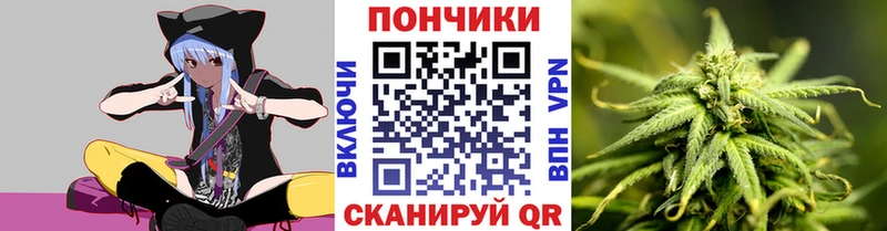 Шишки марихуана планчик  Куса 